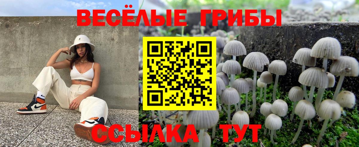 Псилоцибиновые грибы прущие грибы  Вход с VPN  Муром  Галлюциногенные грибы MAGIC MUSHROOMS 